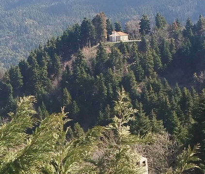 特佩特里纳酒店主图