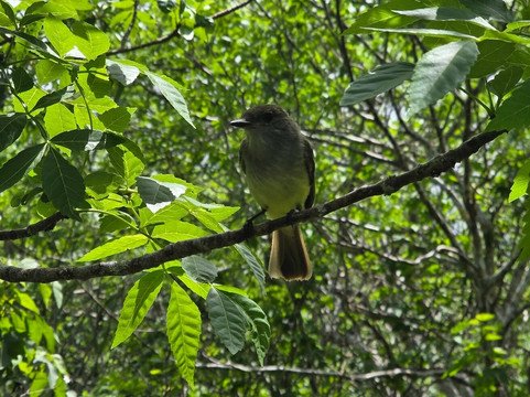 Playa Baquerizo-Puerto Baquerizo Moreno必去景点