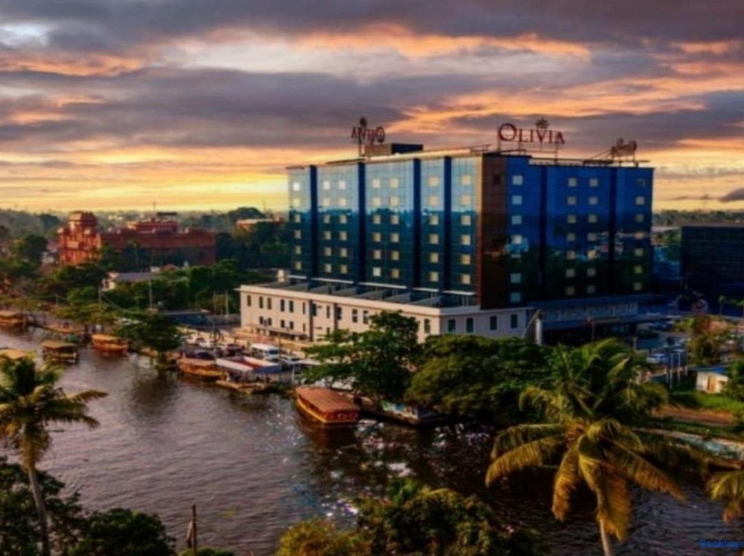 Olivia International