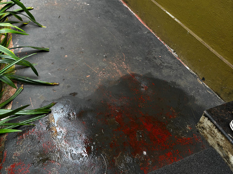 阿马迪海滨度假村主图