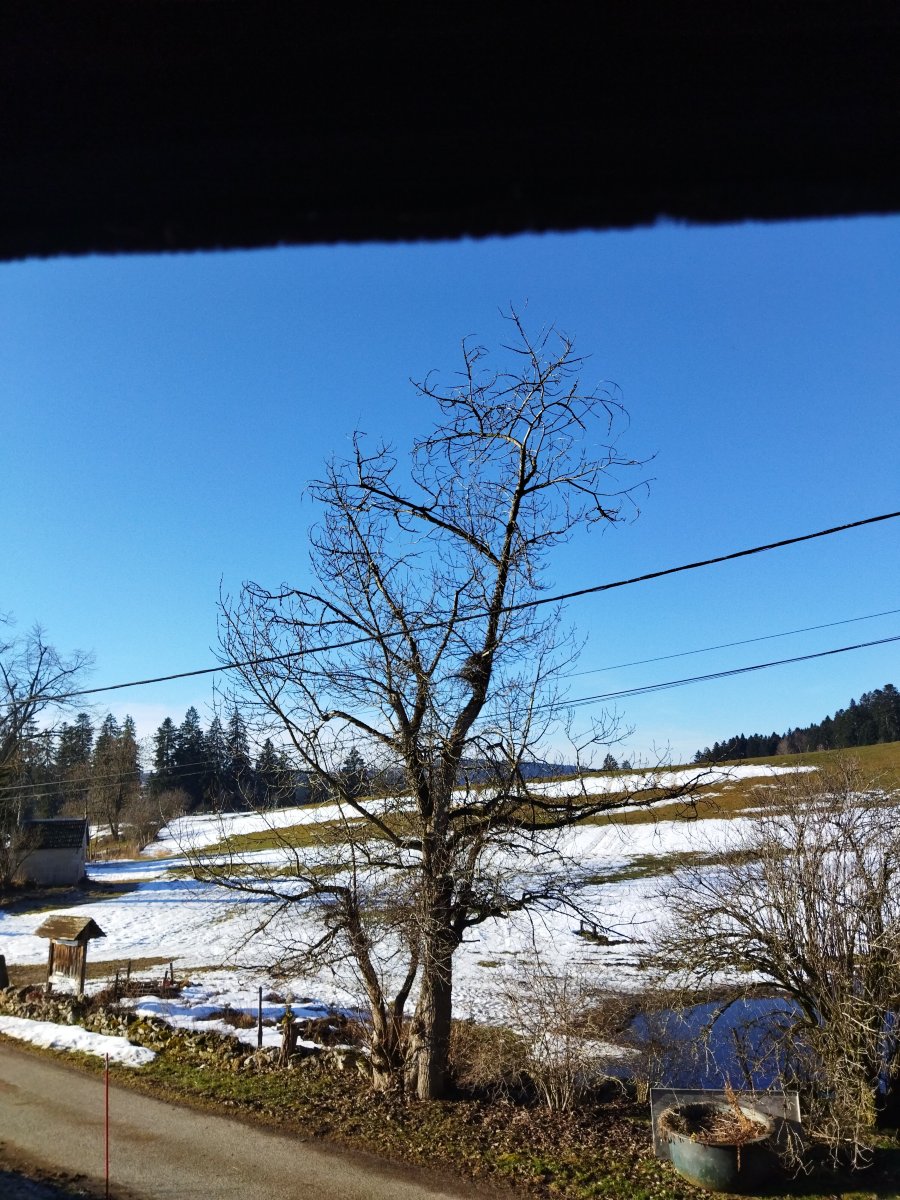 La Ferme-Auberge des Louisots-官方