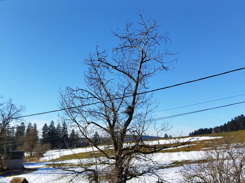La Ferme-Auberge des Louisots主图