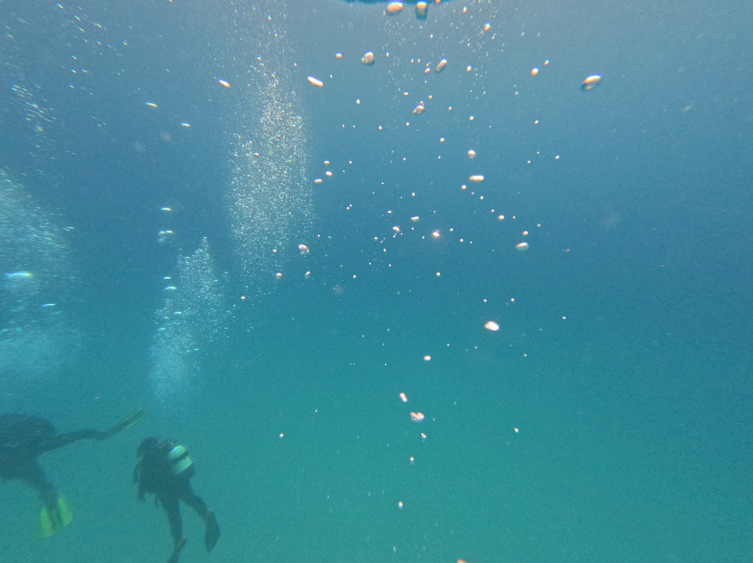 Fuerteventura Buceo Diving center-Morro del Jable必去景点