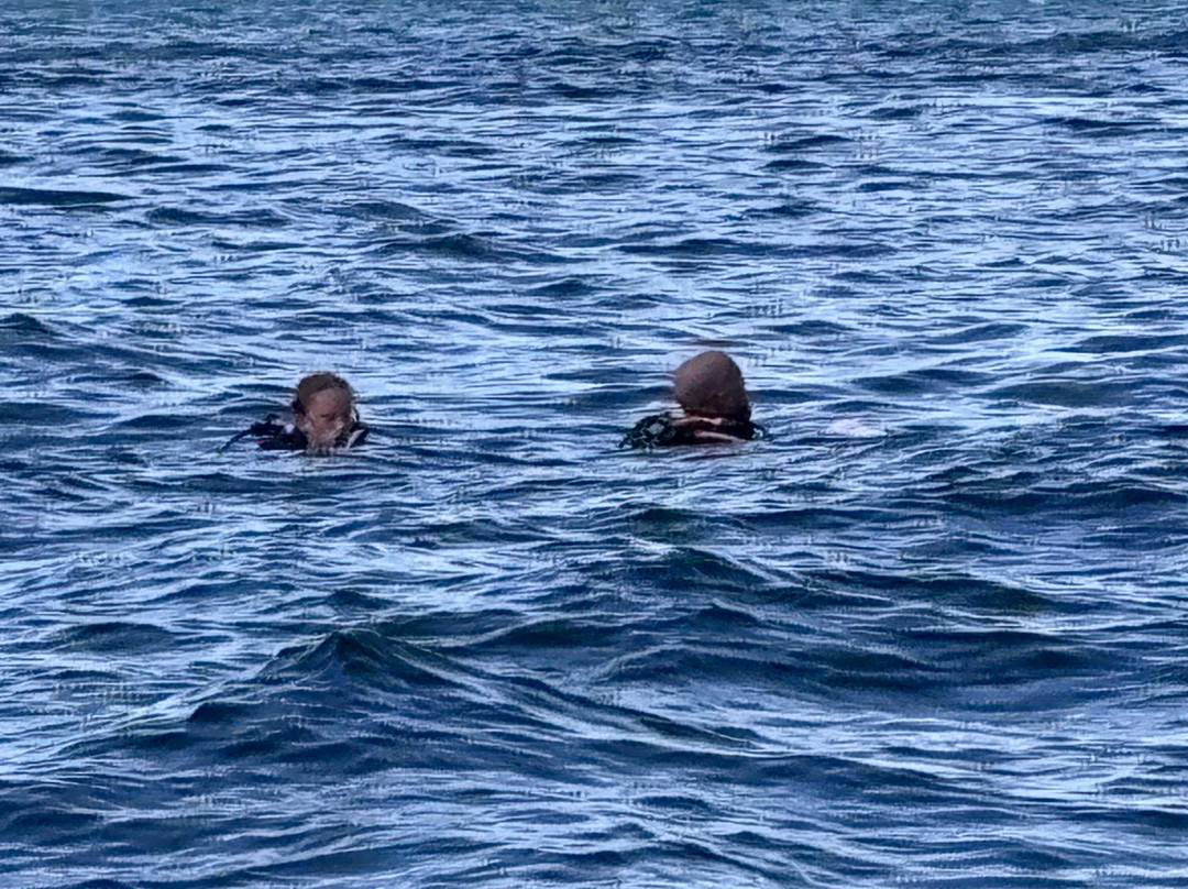 Rocket Frog Divers-Playas del Coco必去景点