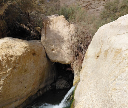 Nachal Arugot Nature Reserve-Masada必去景点