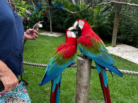 Parque Arvorar-Aquiraz必去景点