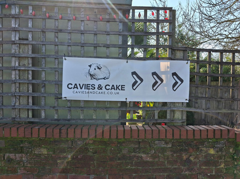 Cavies & Cake-Fakenham必去景点