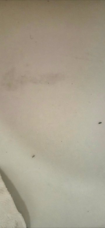 里维埃拉温泉度假村-限成人-官方