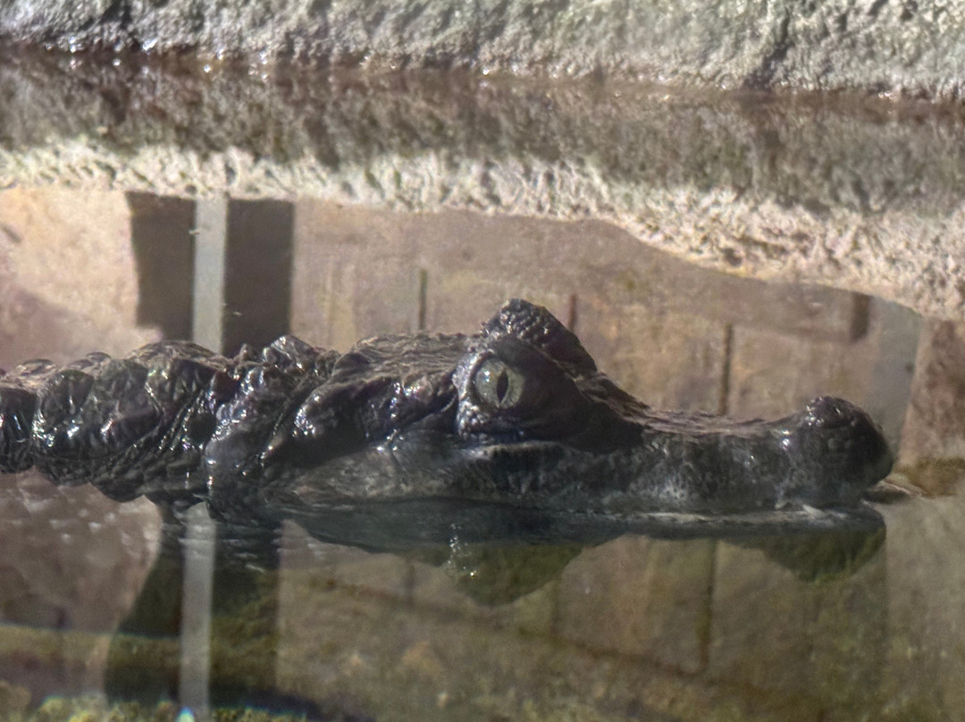 Aquarium De Touraine-Lussault-sur-Loire必去景点