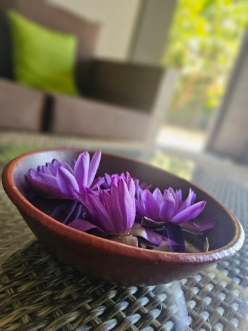 马帕达村酒店-官方