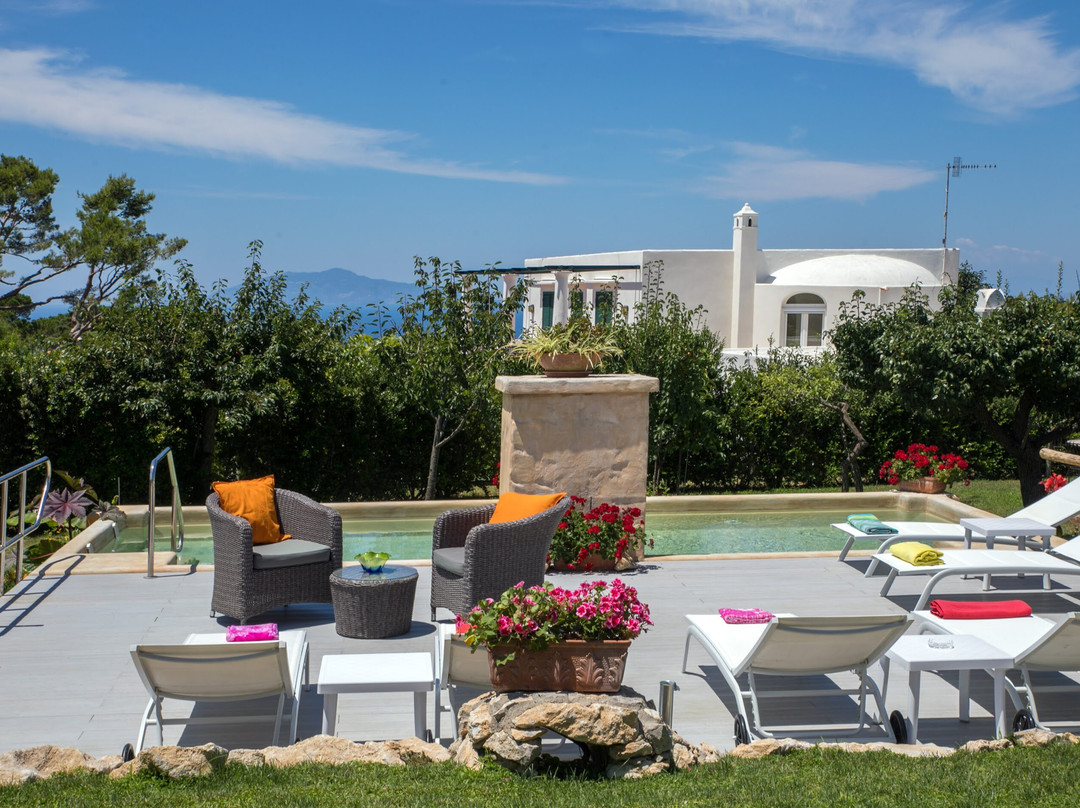 艾穆利尼奥酒店主图