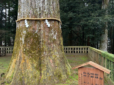雾岛神宫-雾岛市必去景点