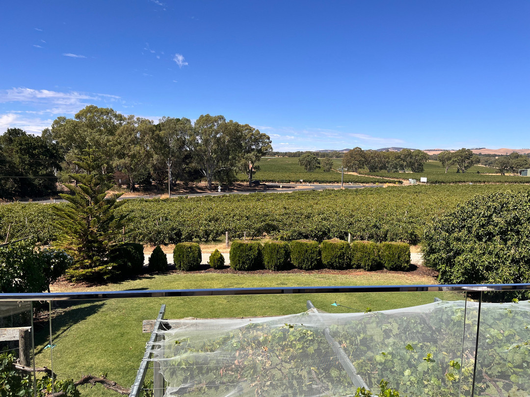 巴罗莎设拉子酒店主图