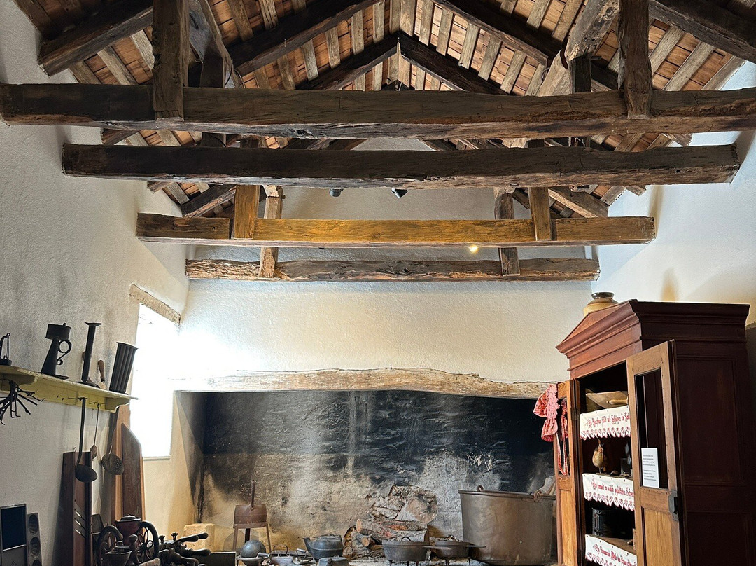 Pioneer Museum-弗雷德里克斯堡必去景点