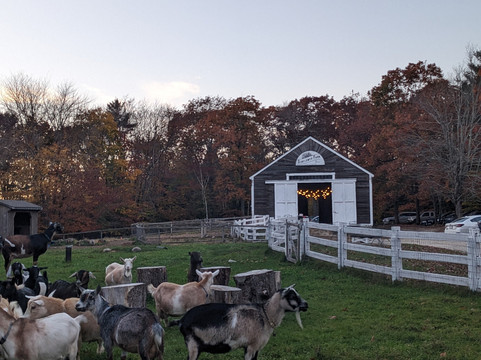 Sunflower Farm Creamery-Cumberland Center必去景点