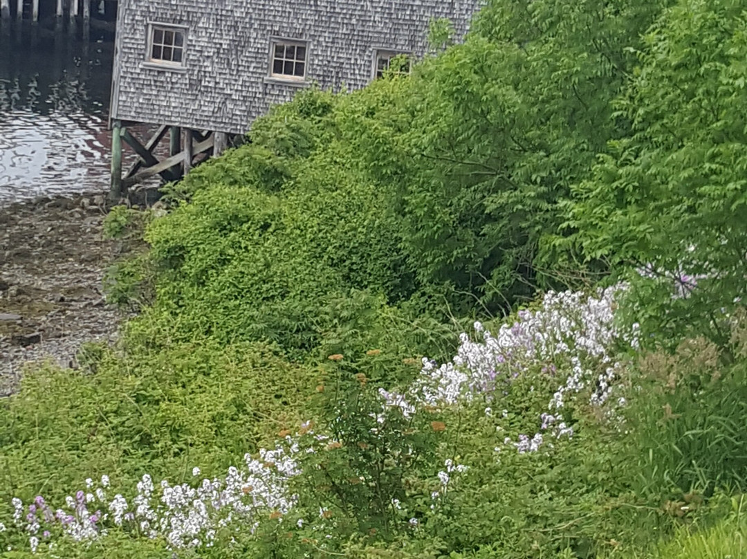 Fisheries Museum of the Atlantic-卢嫩堡必去景点