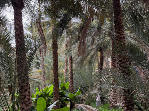 Wadi Tiwi Mibam Adventure-提维必去景点