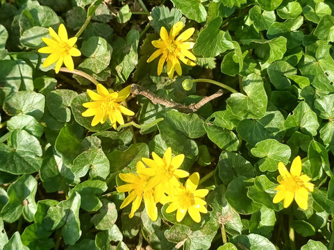 Parco Brianza Centrale-塞雷尼奥必去景点