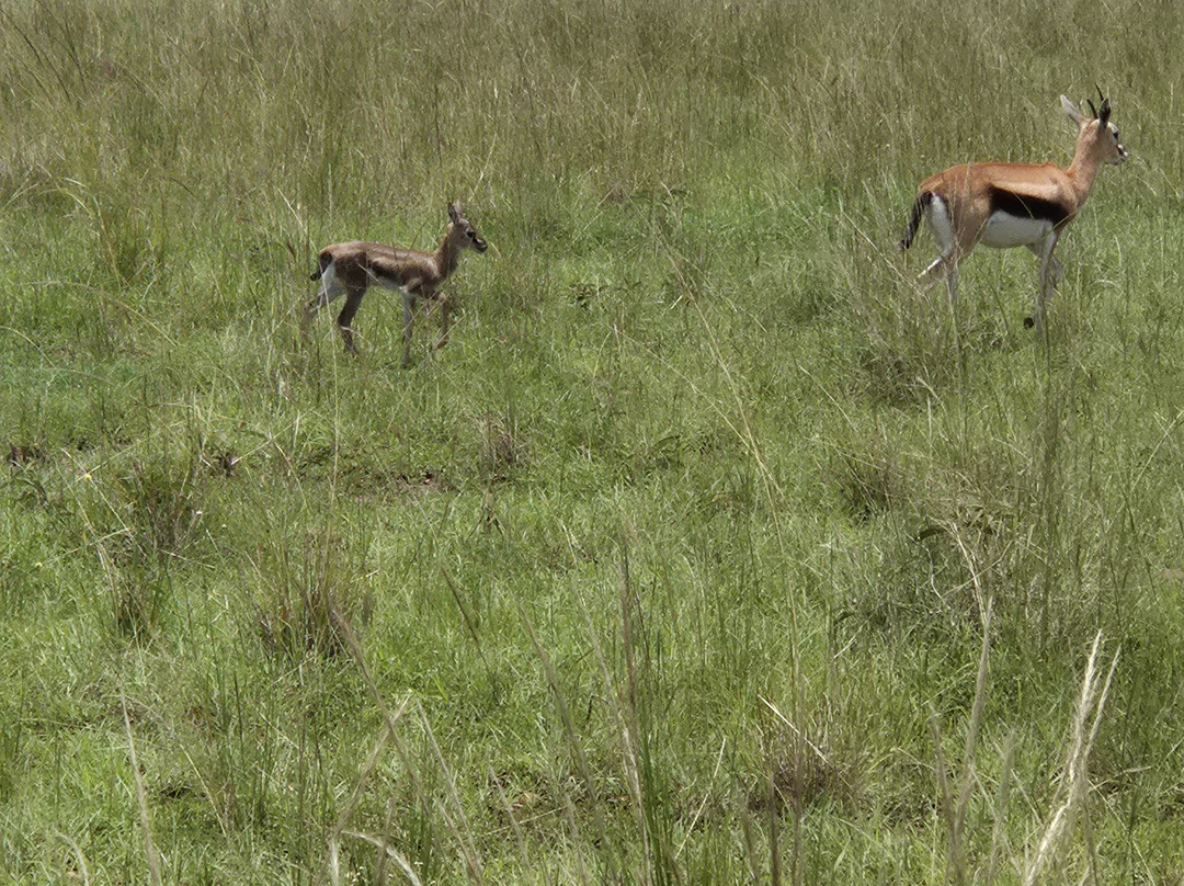 African Kismat Expeditions