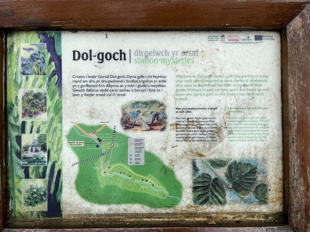 Dolgoch Falls-雪墩国家公园必去景点