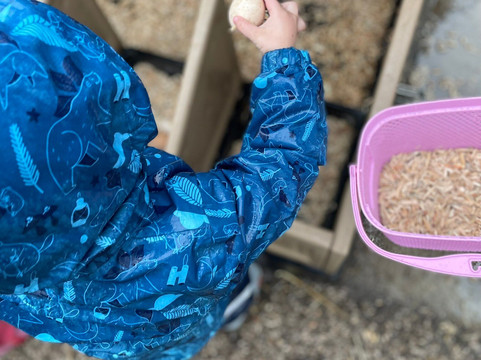 All About Alpacas Ltd.-Cartmel必去景点