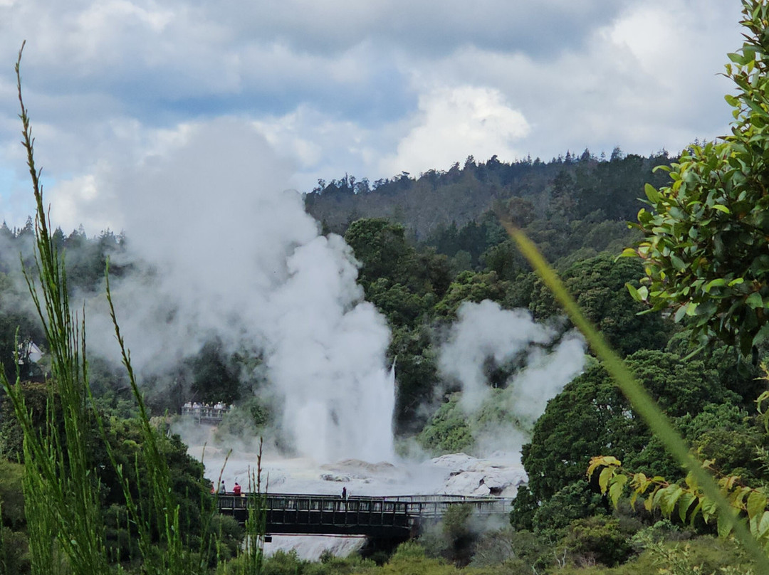 Custom Day Tours NZ-陶兰加必去景点