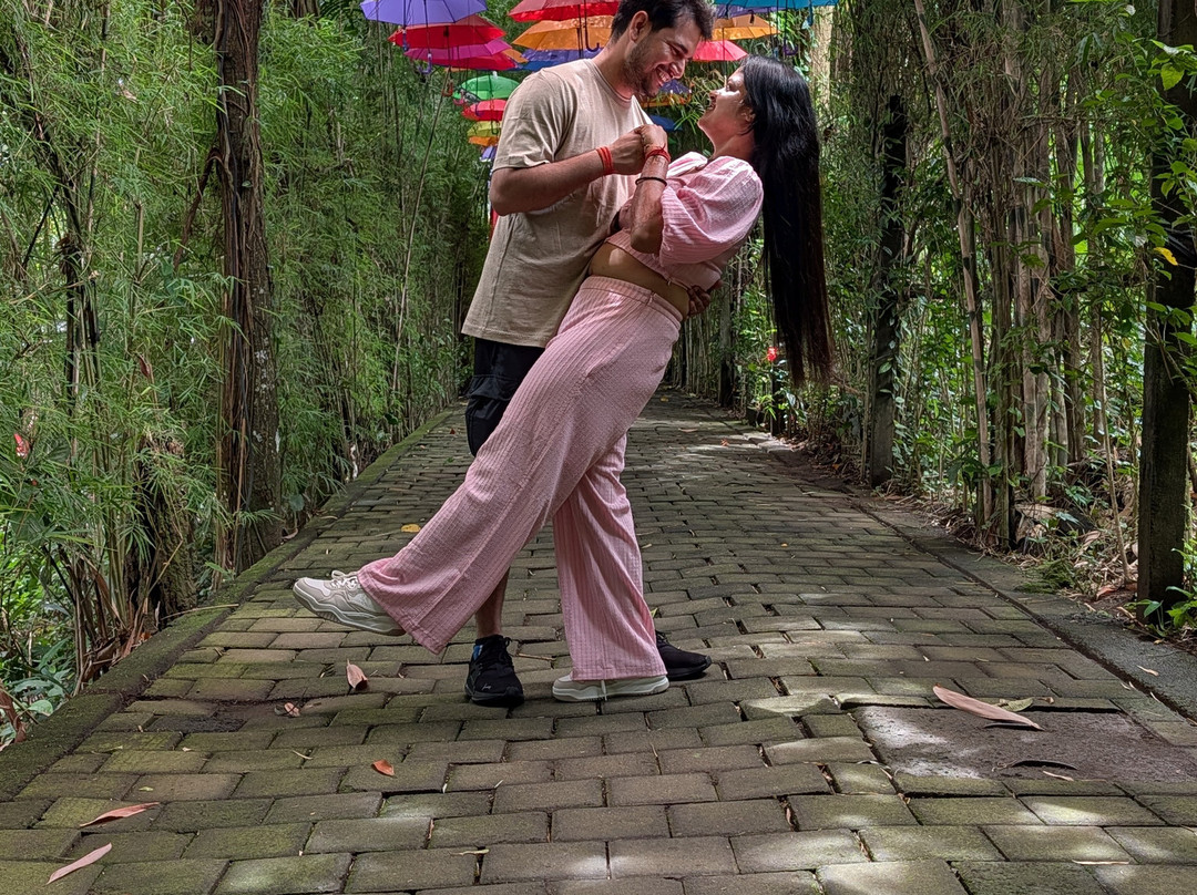 Holiday Tram-新德里必去景点