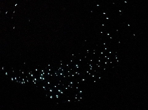 Ruakuri Cave-怀托摩洞穴必去景点