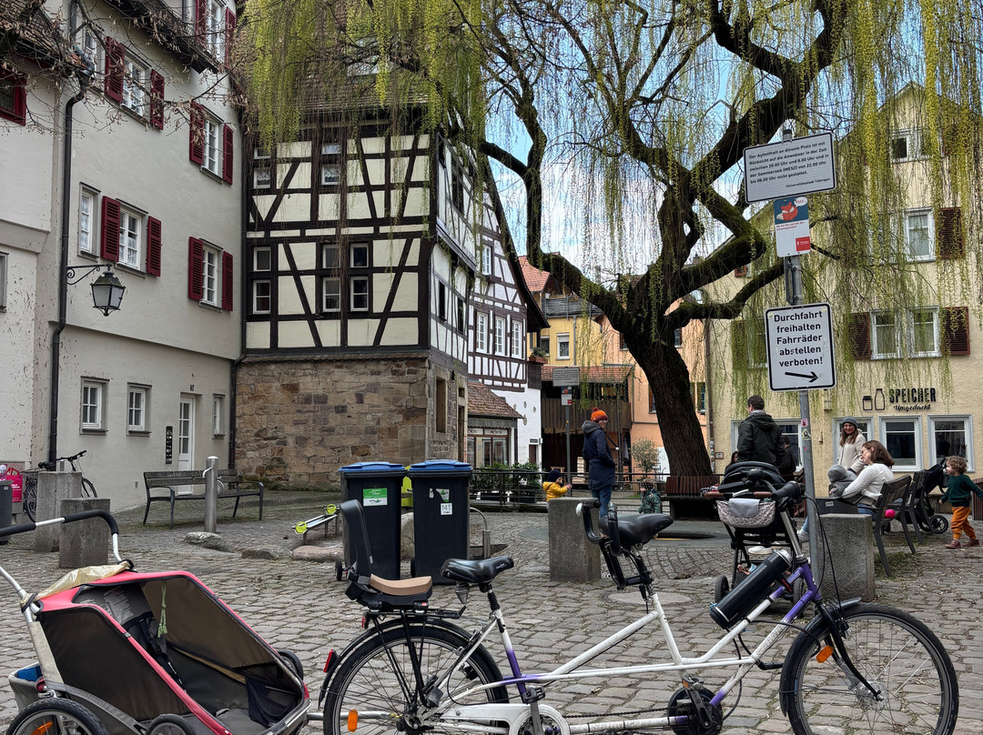 Market Square-图宾根必去景点