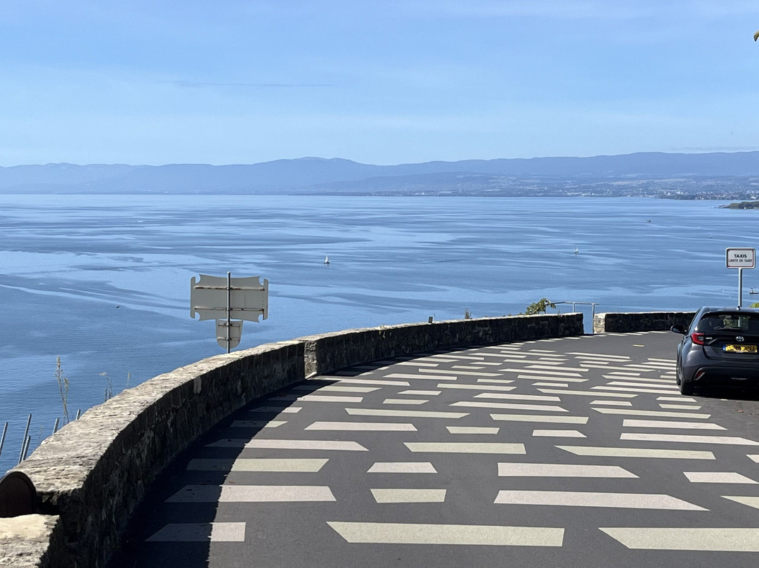 拉沃葡萄园梯田-蒙特勒必去景点