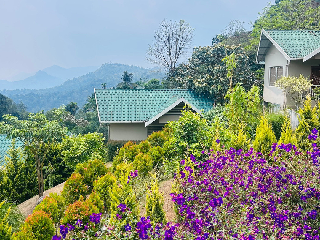 阿韦达满纳山区和雾气主图