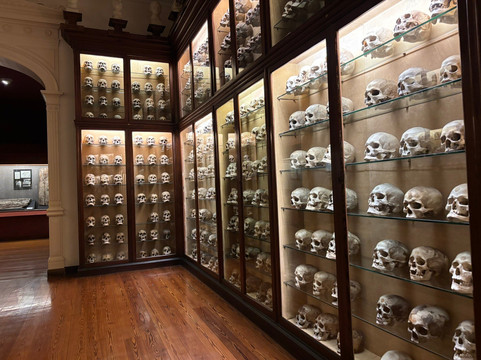 El Museo Canario-大加那利岛拉斯帕尔马斯必去景点