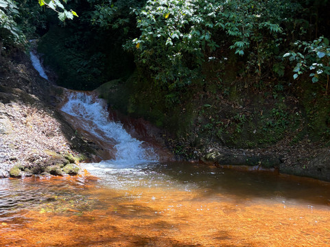 NexusTours-圣何塞必去景点