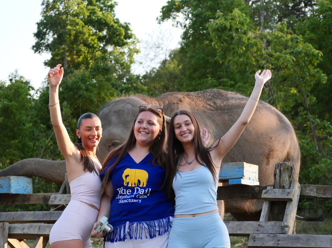 Blue Daily Elephant Care Sanctuary-清迈必去景点