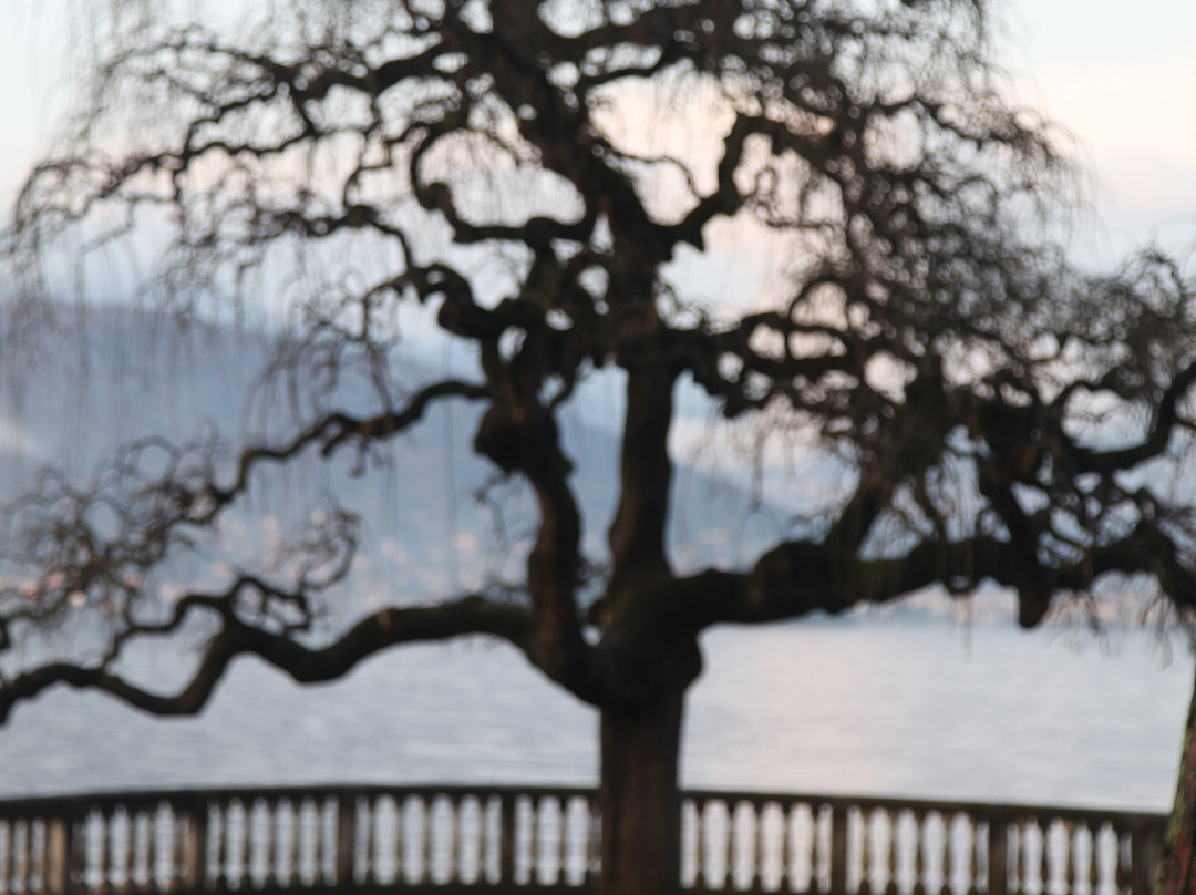 Lungolago Stresa-斯特雷萨必去景点