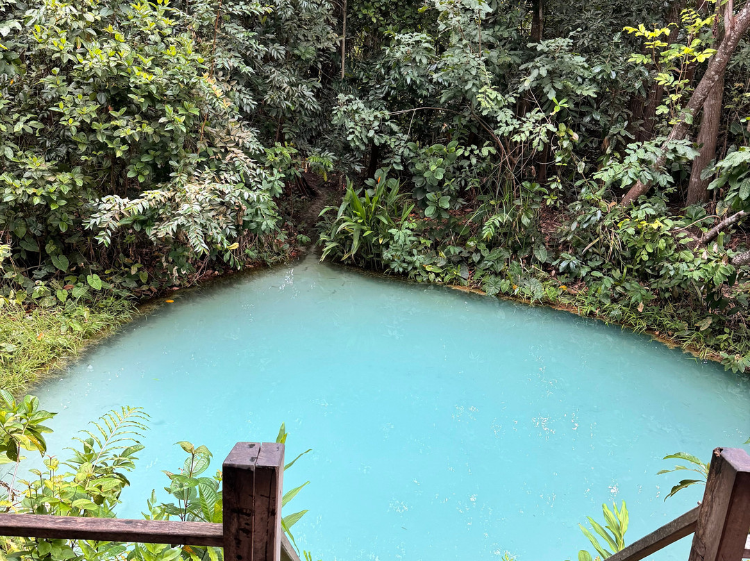 Cenario Nativo Expedicoes-Mateiros必去景点