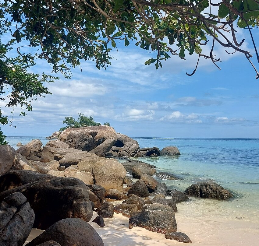Anse Royale Beach-皇家沙滩必去景点