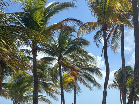 土龙沙滩-阿范特拉斯港必去景点