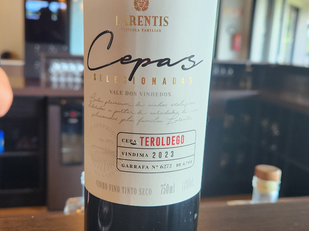 Vinhos Larentis-本图贡萨尔维斯必去景点