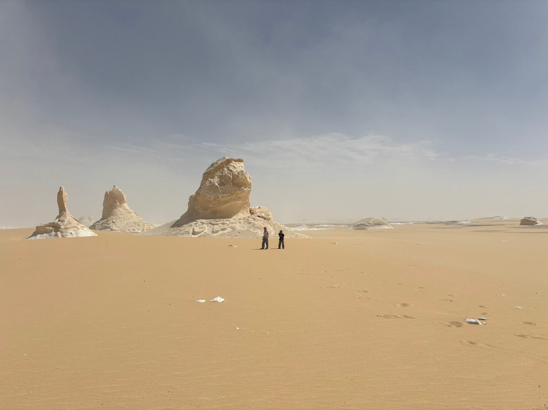 艾哈迈德野生营地旅馆主图