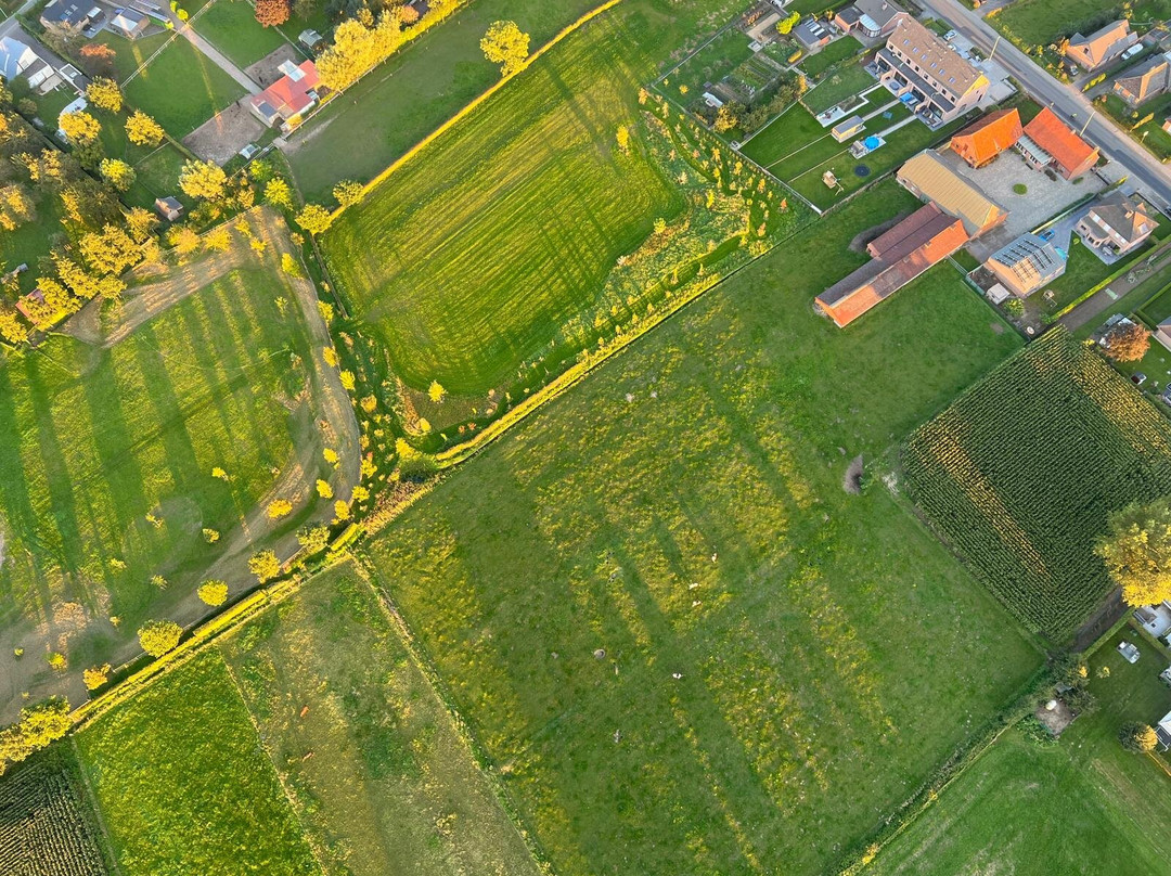 C-Air Ballonvaart-Waasmunster必去景点