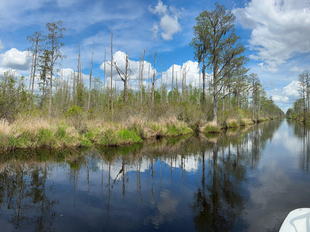 Okefenokee National Wildlife Refuge-Folkston必去景点