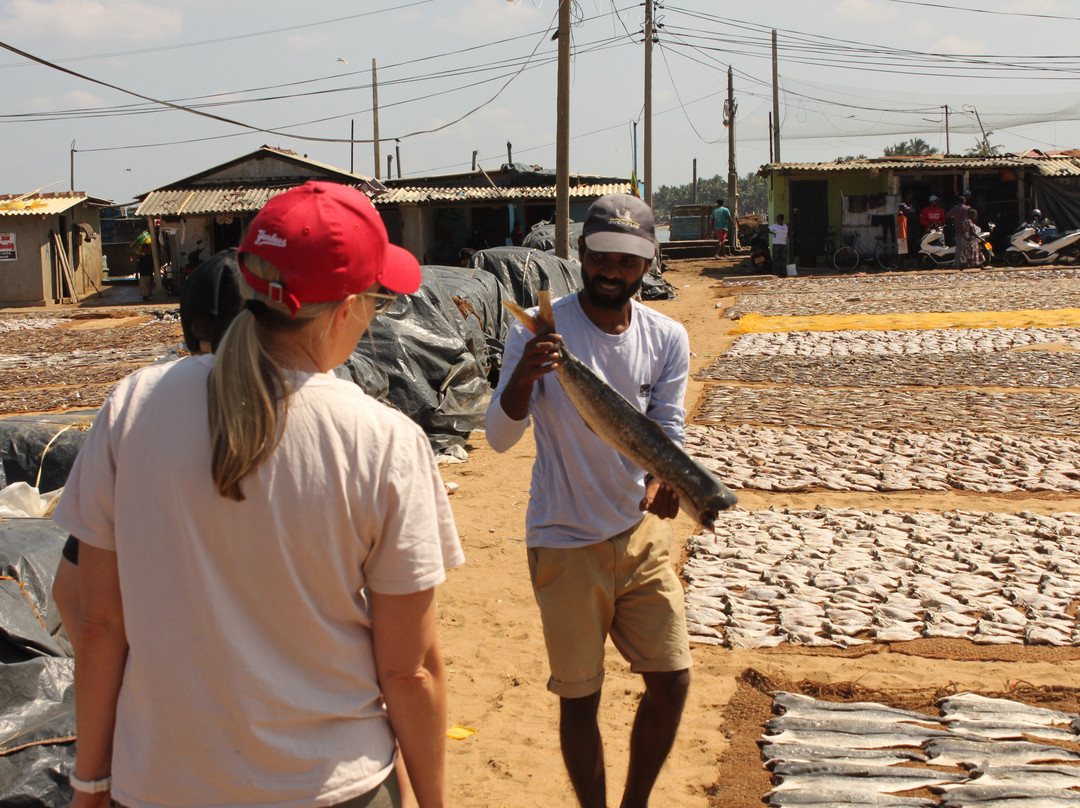 Travelling Pearl Lanka-尼甘布必去景点
