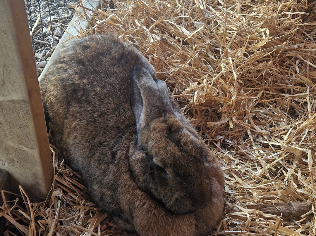 Secret Valley Wildlife Park-韦克斯福德必去景点