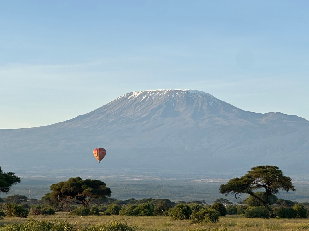 Safari Lenana-瓦塔木必去景点