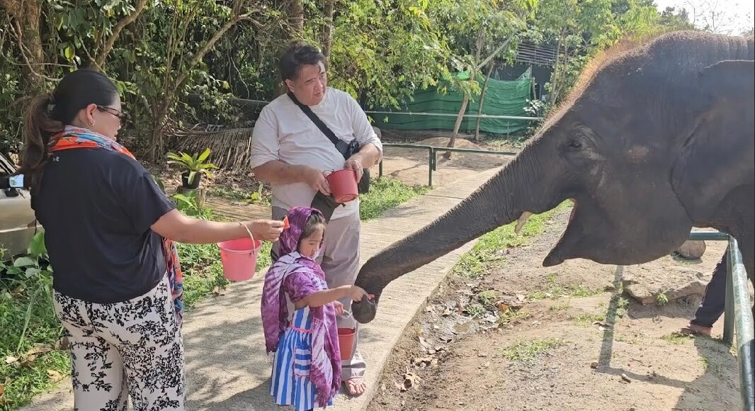 I Love Elephant Samui-Na Mueang必去景点