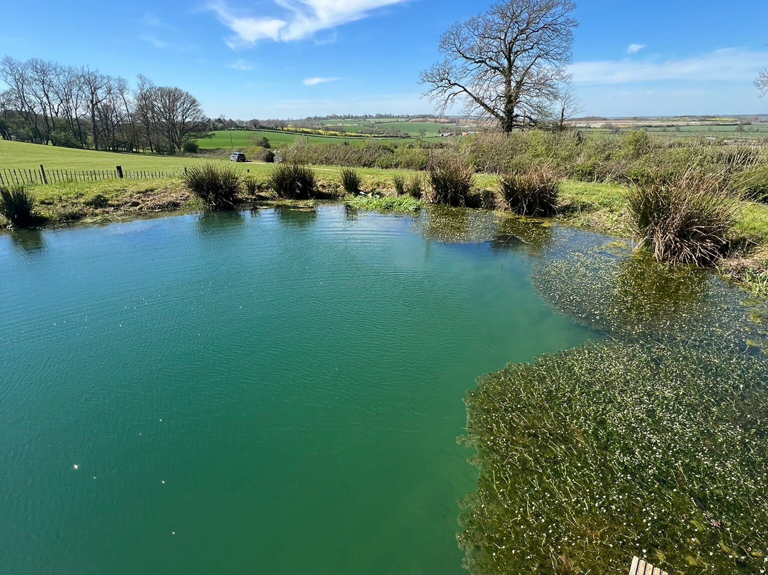 Hill Farm Glamping主图