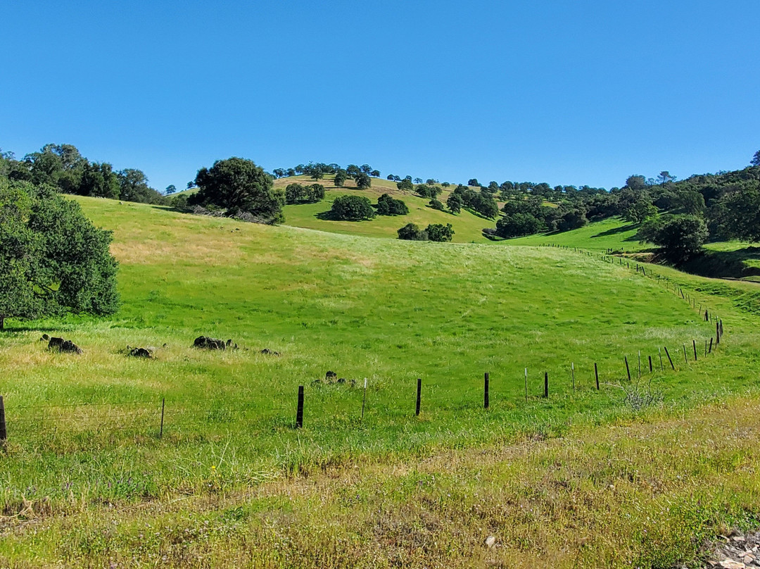 Rail Explorers: Amador CA Division-Ione必去景点