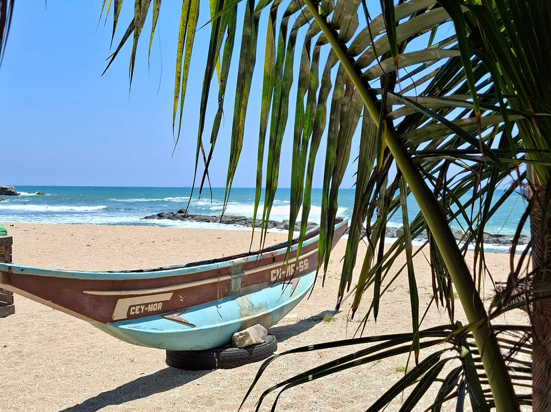 Eco voyage Sri Lanka-锡吉里亚必去景点