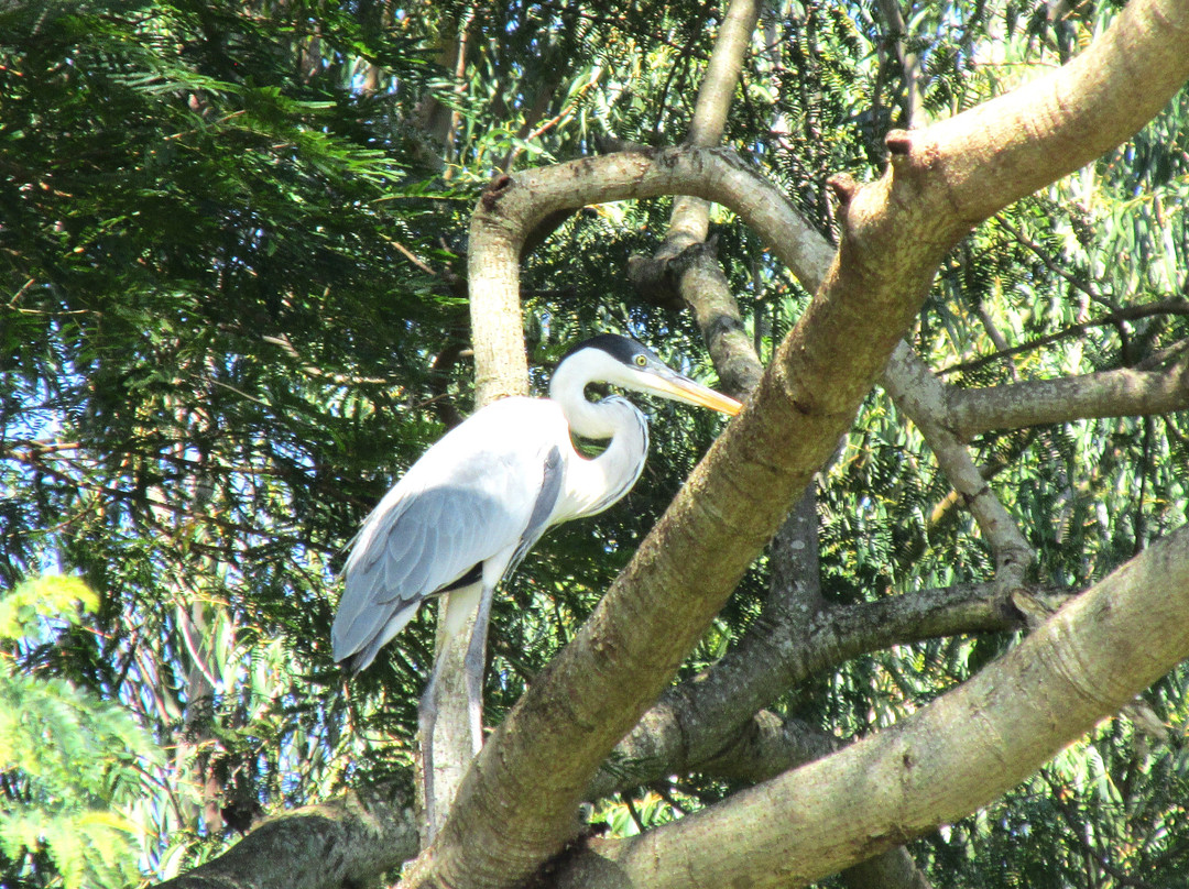 Navio Homero Krähenbühl-Barra Bonita必去景点